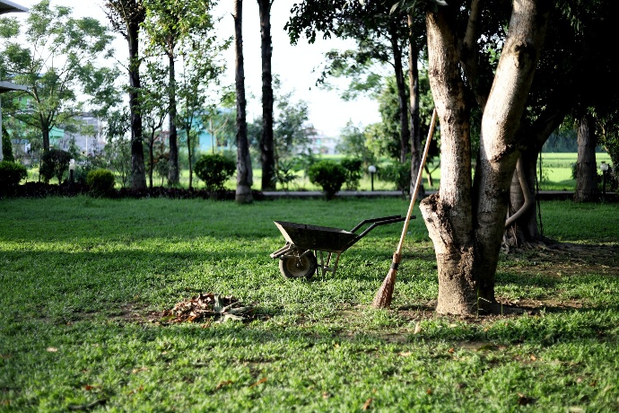 black wheelbarrow near tree during daytime